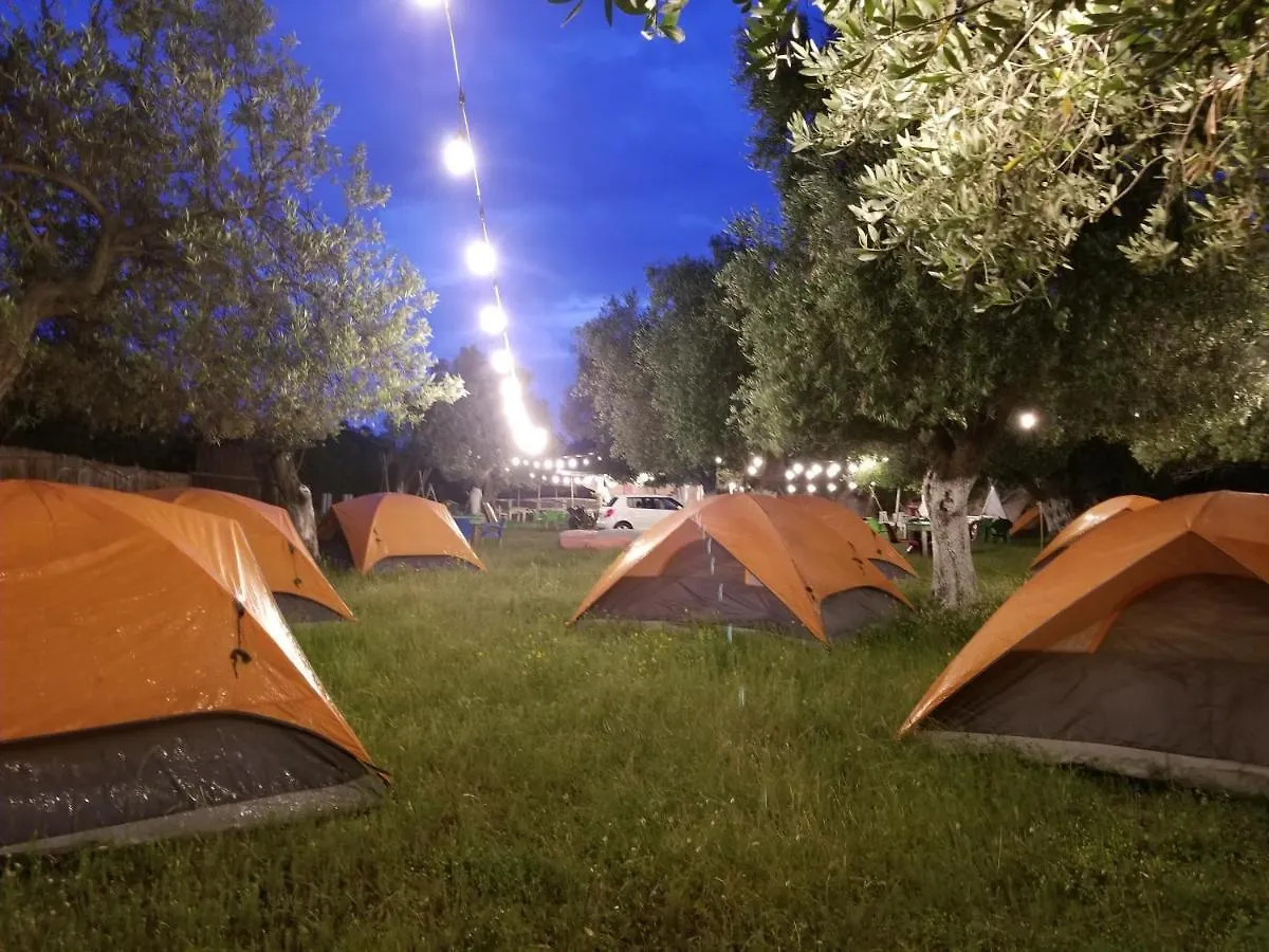 Waves Side Camping Apartment Borsh