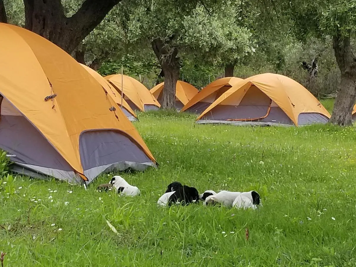 Waves Side Camping Apartment Borsh 0*,  Albania